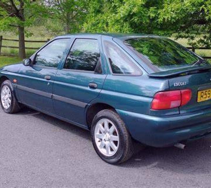 escort Wynau