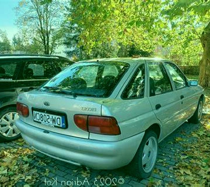 escort Yahaba