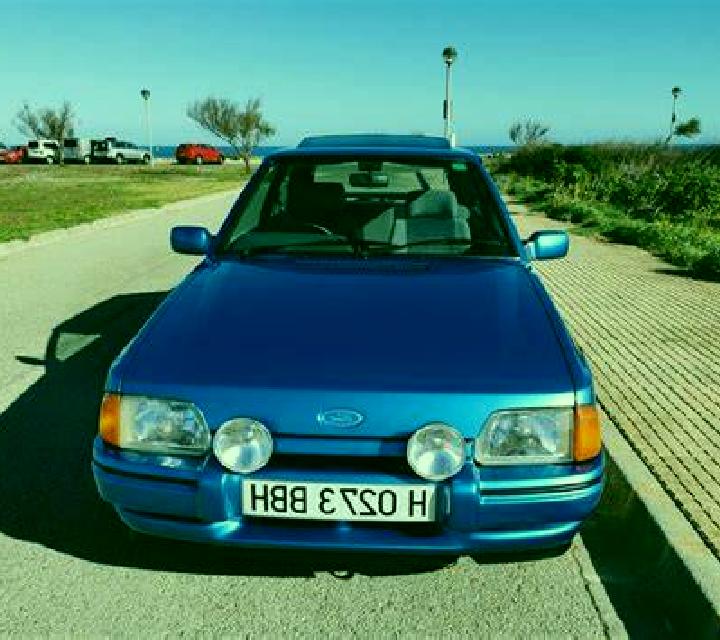 escort Zocea
