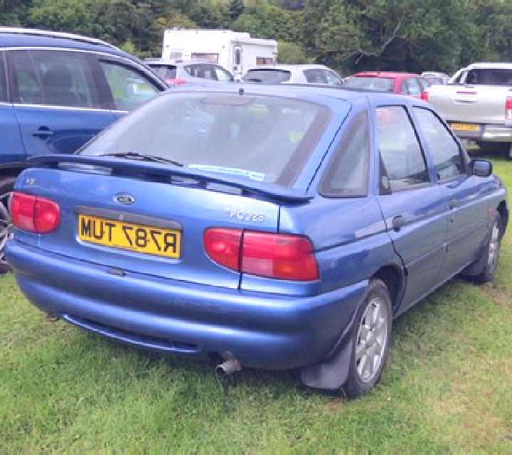 escort Zonhoven