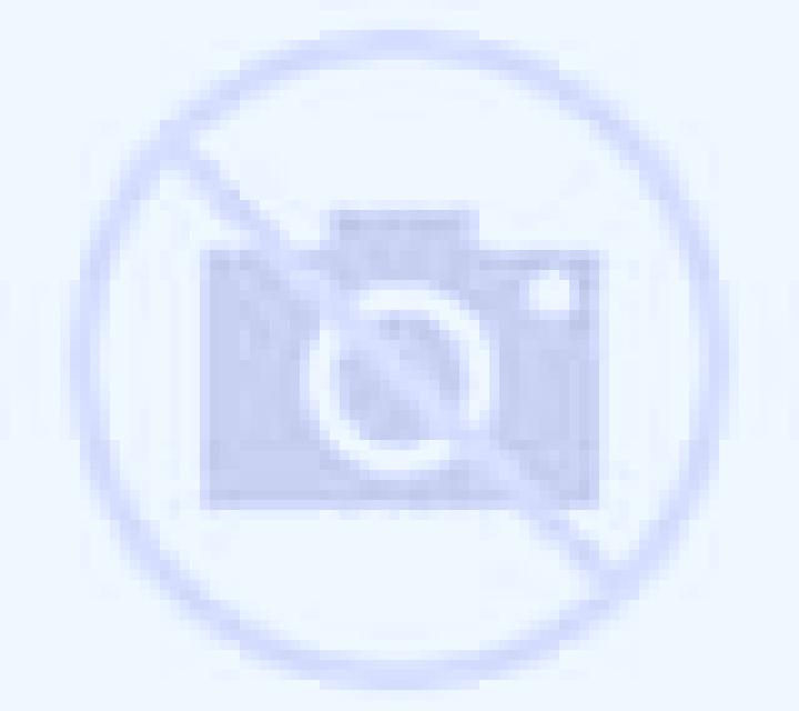 Escorts Arcola East, Canadá — Chicas y putas locales