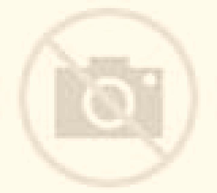 Escorts Bellair-Meadowbrook Terrace, Estados Unidos — Chicas y putas locales