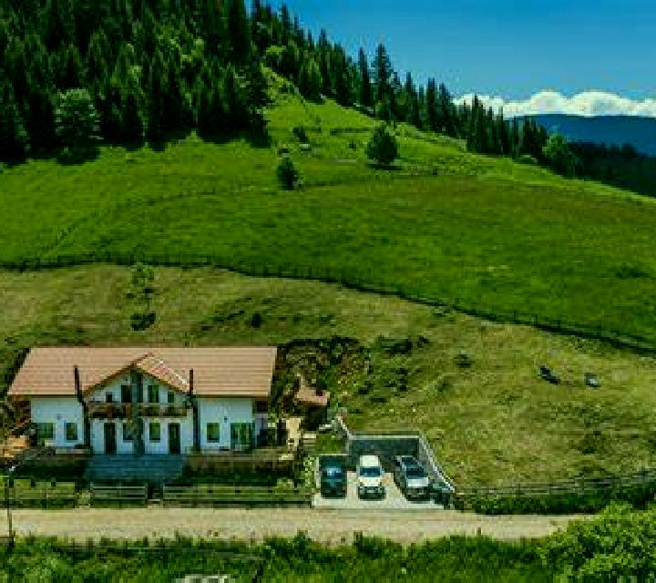Escorts Bosansko Grahovo, Bosnia y Herzegovina — Chicas y putas locales