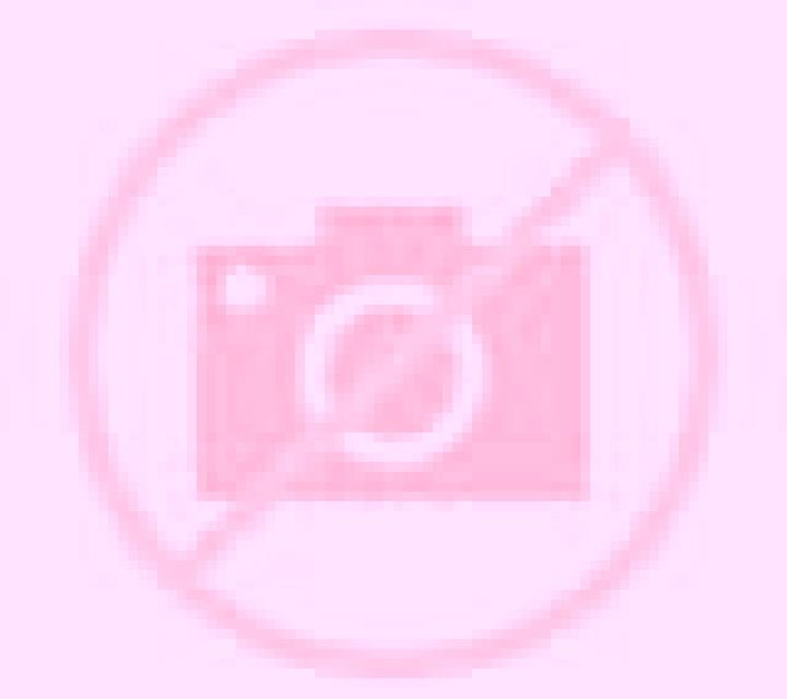 Escorts Bovina, Estados Unidos — Chicas y putas locales