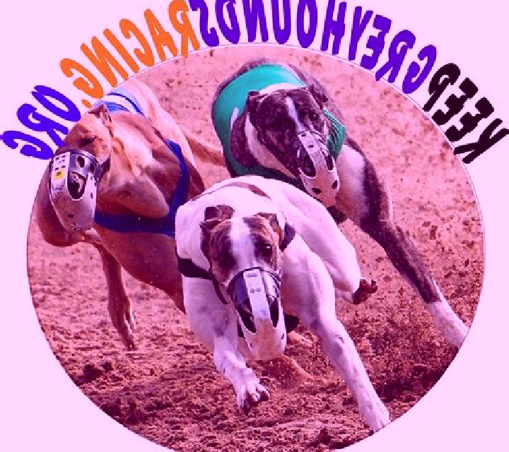Escorts Briddhanagar, India — Chicas y putas locales