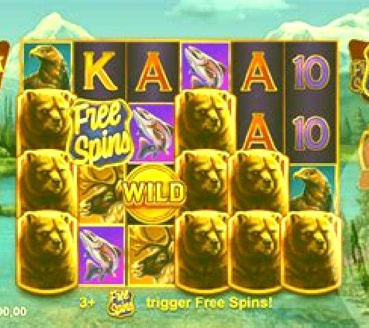Escorts Evanston, Canadá — Chicas y putas locales