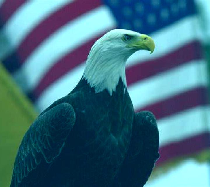 Escorts Flandes, Colombia — Chicas y putas locales