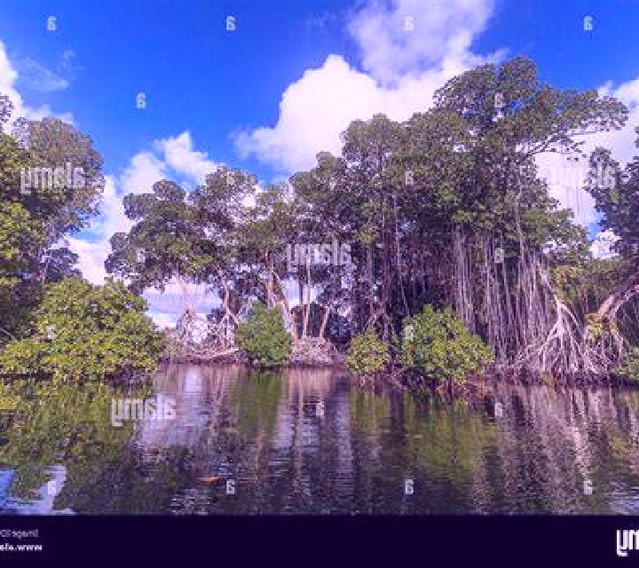 Escorts Orinoco B, Sudáfrica — Chicas y putas locales
