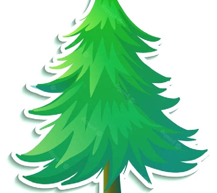 Escorts Quamila, México — Chicas y putas locales
