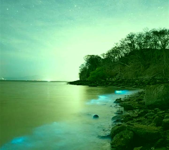 Escorts Santa Maria, Nicaragua — Chicas y putas locales