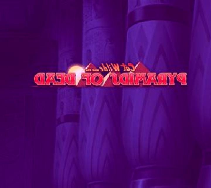Escorts Secunda, Sudáfrica — Chicas y putas locales