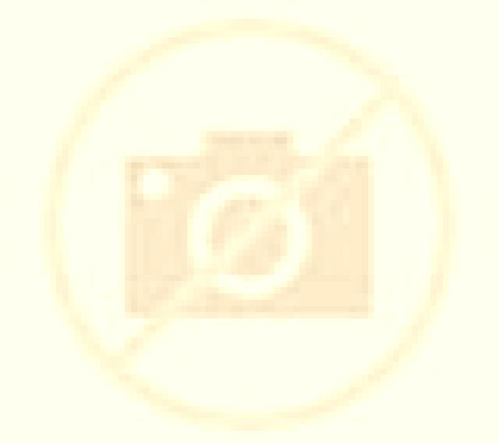 Escorts Swieciechowa, Polonia — Chicas y putas locales