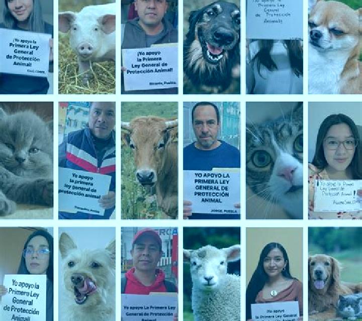 Escorts y putas en España — Directorio de ciudades — Página 7