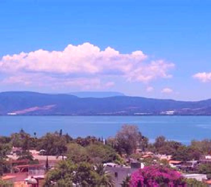 Explora anuncios de escorts en 7 páginas de ciudades de Guatemala. Acompañantes locales, servicios y tarifas. Página 4 de 7.