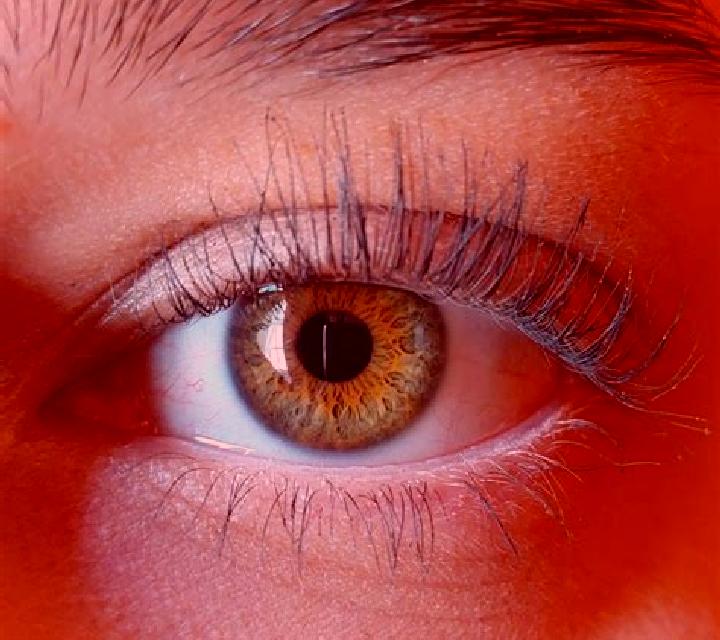 Giulia, 34, acompañante pelirroja de ojos oscuros y etnia latina basada en Yiting. Ofrece Cita de cena, Noche completa, Francés natural, Beso francés profund...