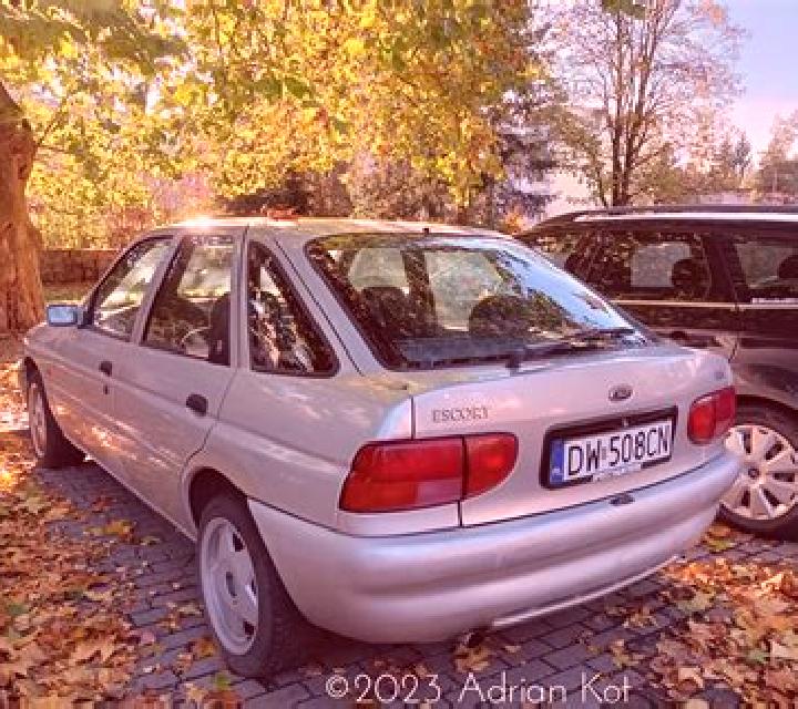 Irene, 38 — Escort en Schutterwald, Alemania