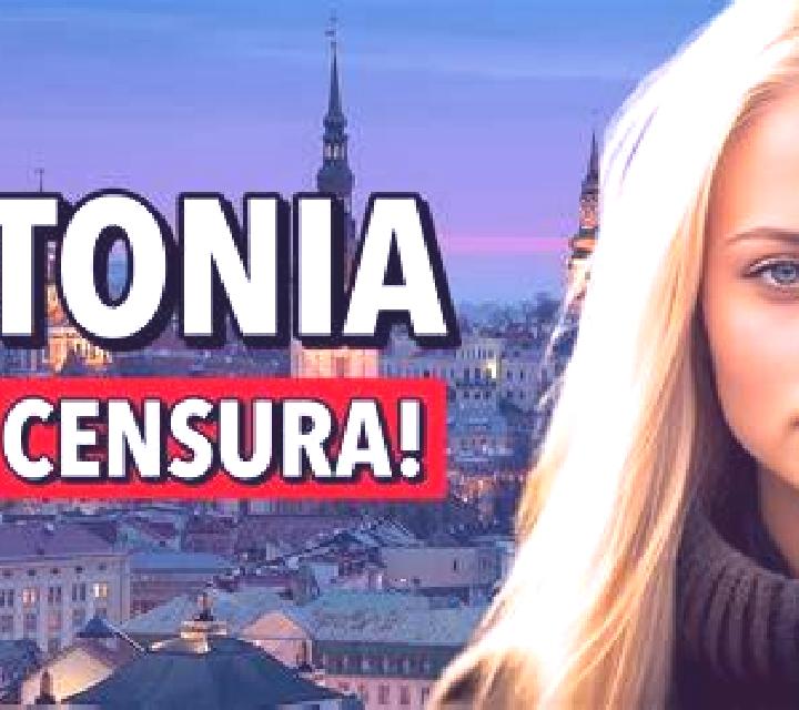 Julia, 28, acompañante pelirroja de ojos oscuros y etnia eslava basada en Nyanga. Ofrece Cita de cena, Parejas, BDSM. Disponible en domicilio y visita, citas...