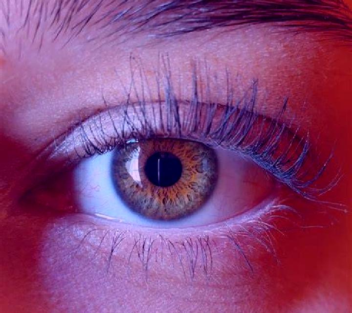 Lorena, 39, acompañante morena de ojos verdes y etnia asiática basada en Benken. Ofrece Fetiche, GFE (Experiencia de novia), Griego (anal), Acompañante de vi...