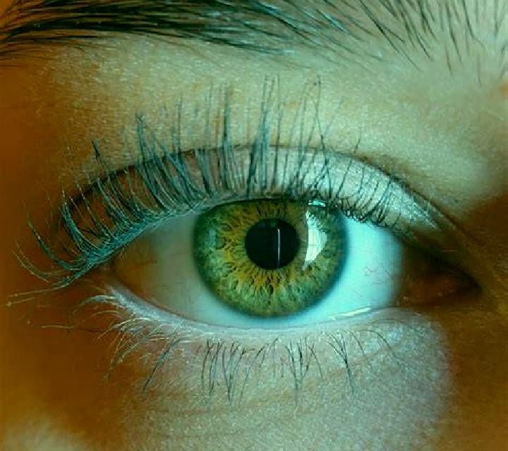 Lucía, 27, acompañante castaña de ojos verdes y etnia asiática basada en Ibra . Ofrece GFE (Experiencia de novia), 69, Parejas, Striptease. Disponible en dom...