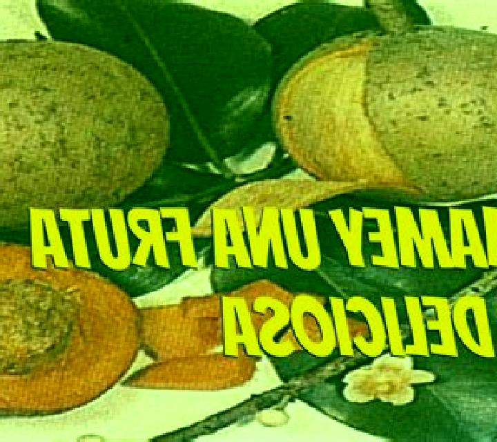 María, 21, acompañante castaña de ojos verdes y etnia mediterránea basada en Codrington. Ofrece Tantra, Cita de cena, Chica de fiesta. Disponible en domicili...