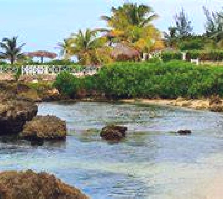 Martina, 27 — Escort en El Ayoun, Mauritania