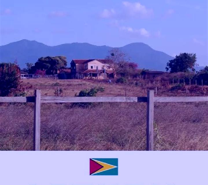 Natalia, 21 — Escort en Wah, Costa de Marfil