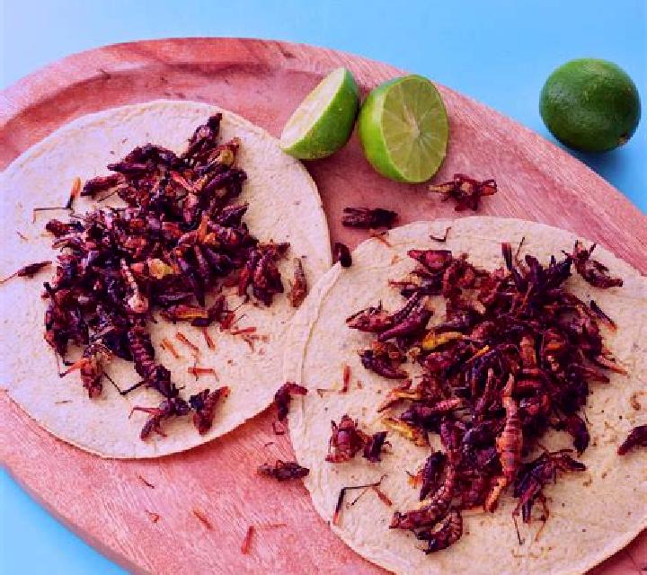 Noa, 23, acompañante castaña de ojos oscuros y etnia mezcla basada en Kelo. Ofrece GFE (Experiencia de novia), Tantra, Acompañante de viaje, Juego de roles. ...