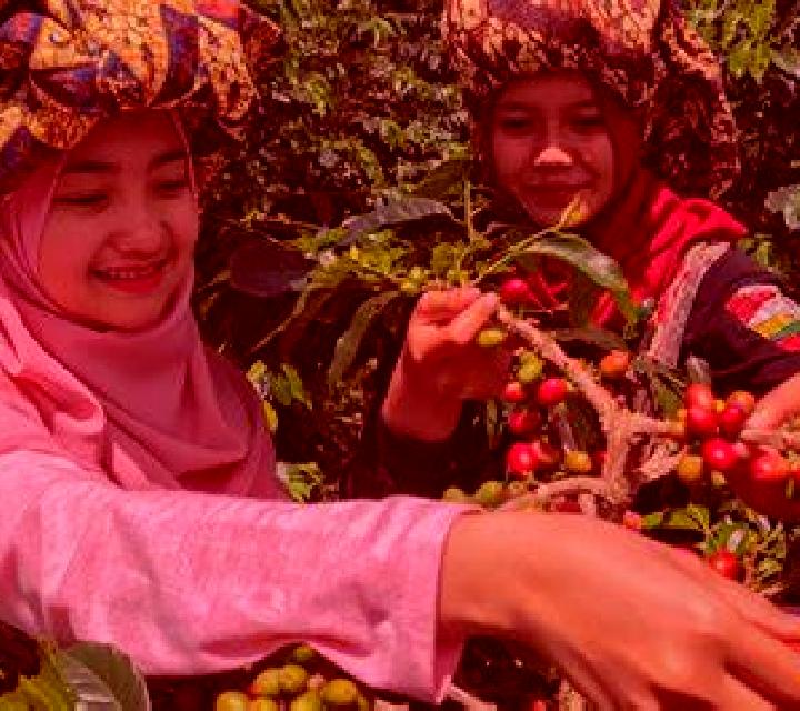 Sofía, 22 — Escort en Peragam, India