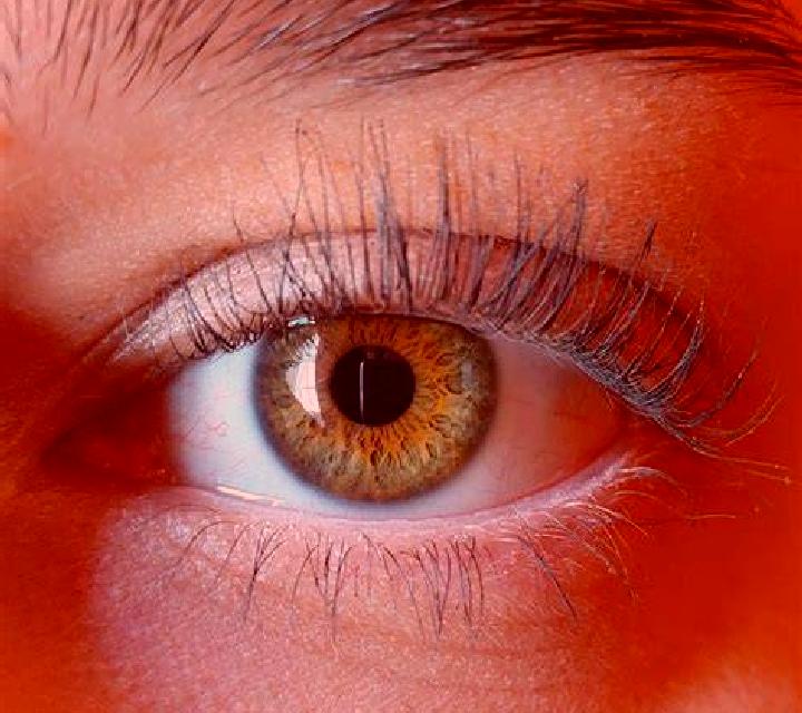 Sofía, 24, acompañante castaño claro de ojos ámbar y etnia caribeña basada en Aikou. Ofrece Masaje de próstata, Hasta el final (CIM), Experiencia de novia, C...