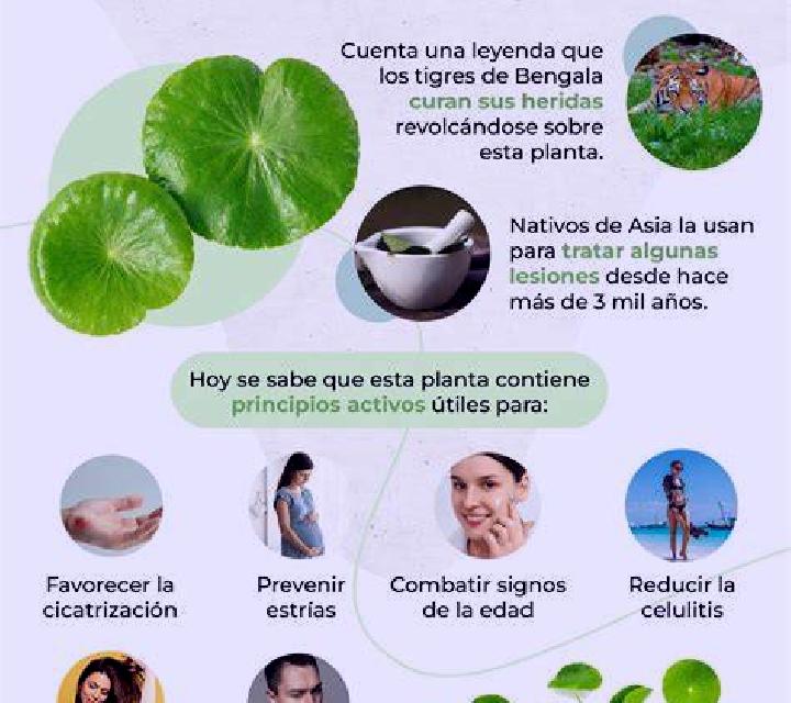 Sofía, 25, acompañante castaña de ojos oscuros y etnia caucásica basada en Punta Alegre. Ofrece Fetiche, Noche completa, Masaje erótico, Parejas, Striptease....