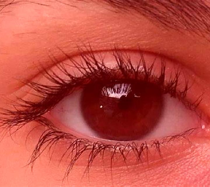 Sofía, 33 — Escort en Milton, Reino Unido