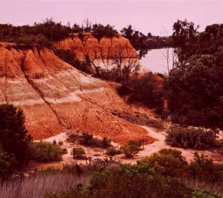 Zara, 38 — Escort en Gurabo, Puerto Rico